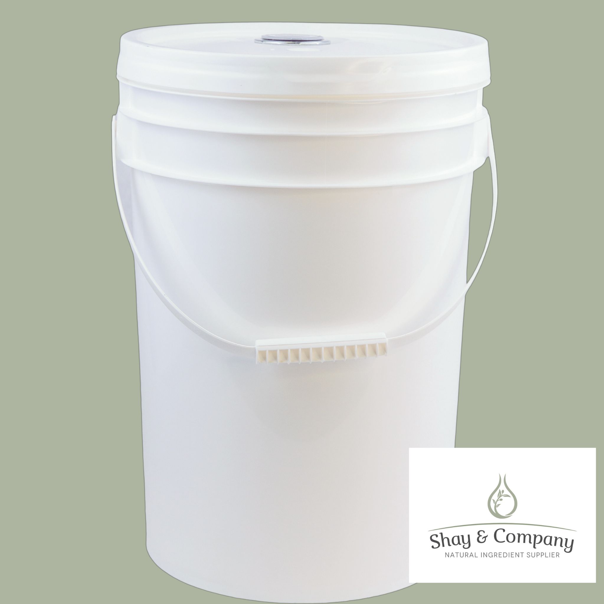 5-Gallon Bucket with Spout Lid & Handle