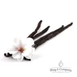 vanilla non discoloring fragrance