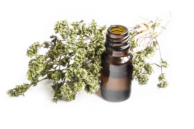 white thyme essential oil
