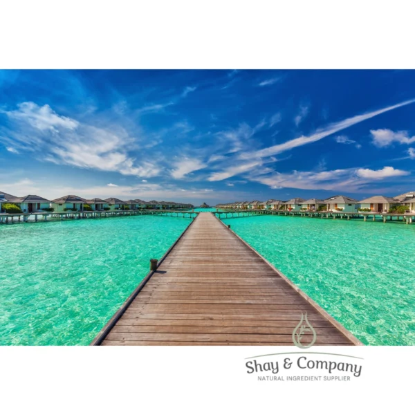 capri blue fragrance for soap and candles