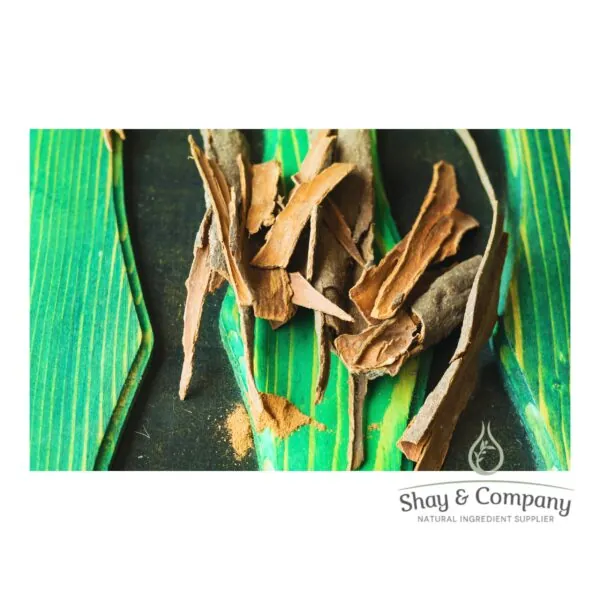 Cassia bark pieces on green leaf background