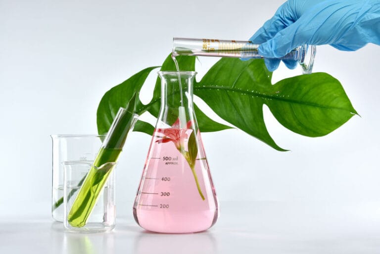 Wholesale & Bulk Organic Natural Oils | Shay and Company