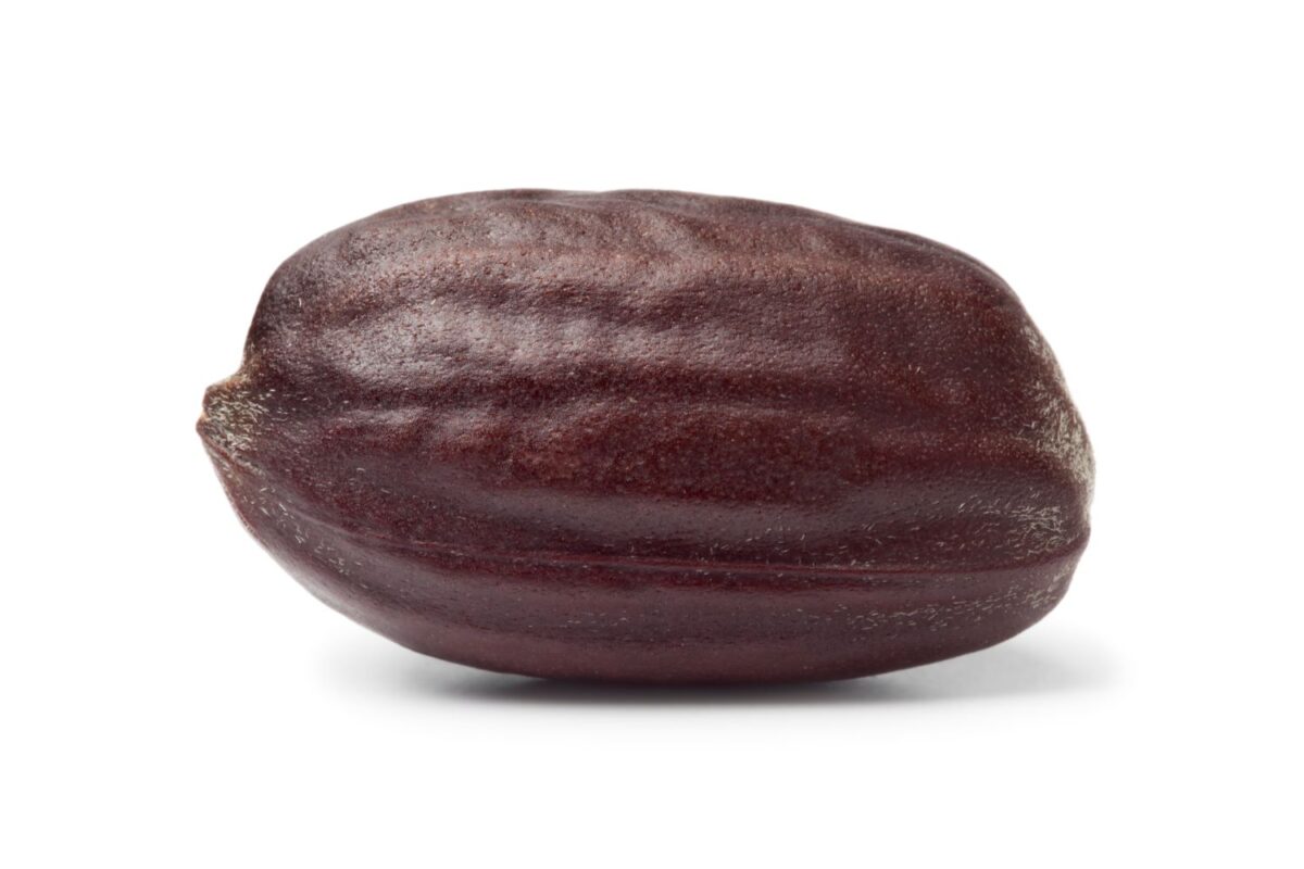 jojoba seed powder