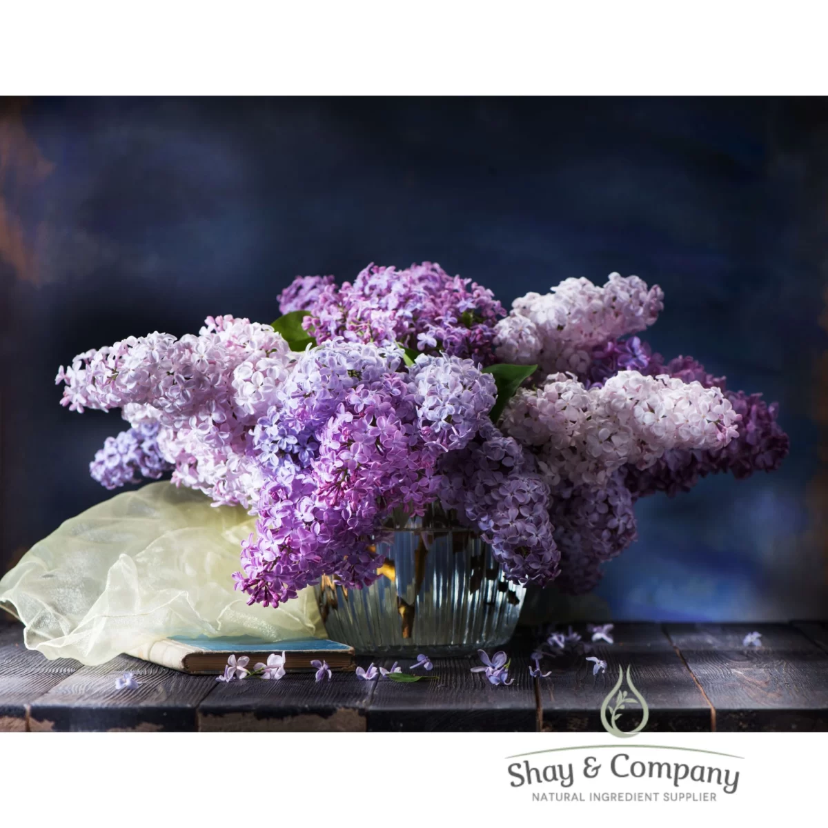 lilac fragrance