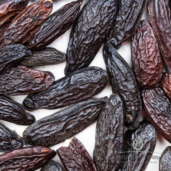 Organic Tonka Bean Essential Oil – Herbarium Officinale