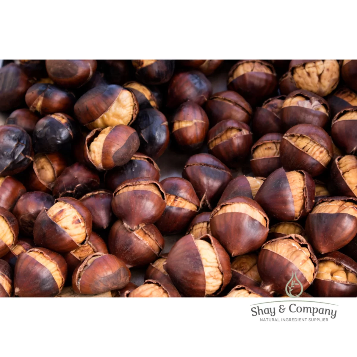 roasted chestnuts and burnt sugar fragrance