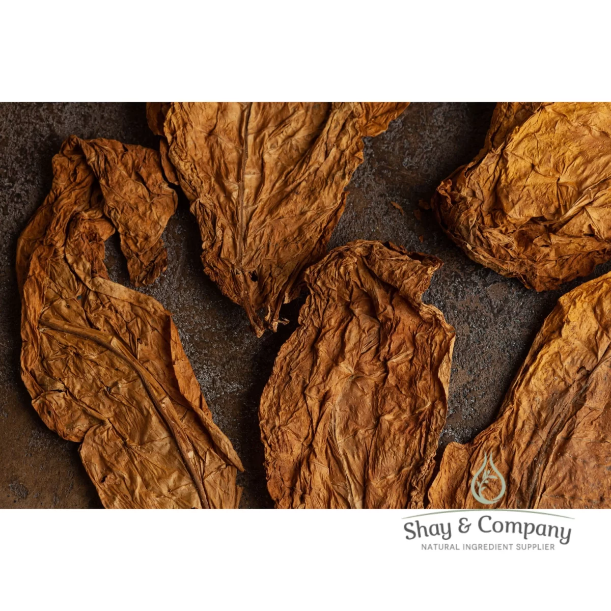 tobacco absolute essential oil