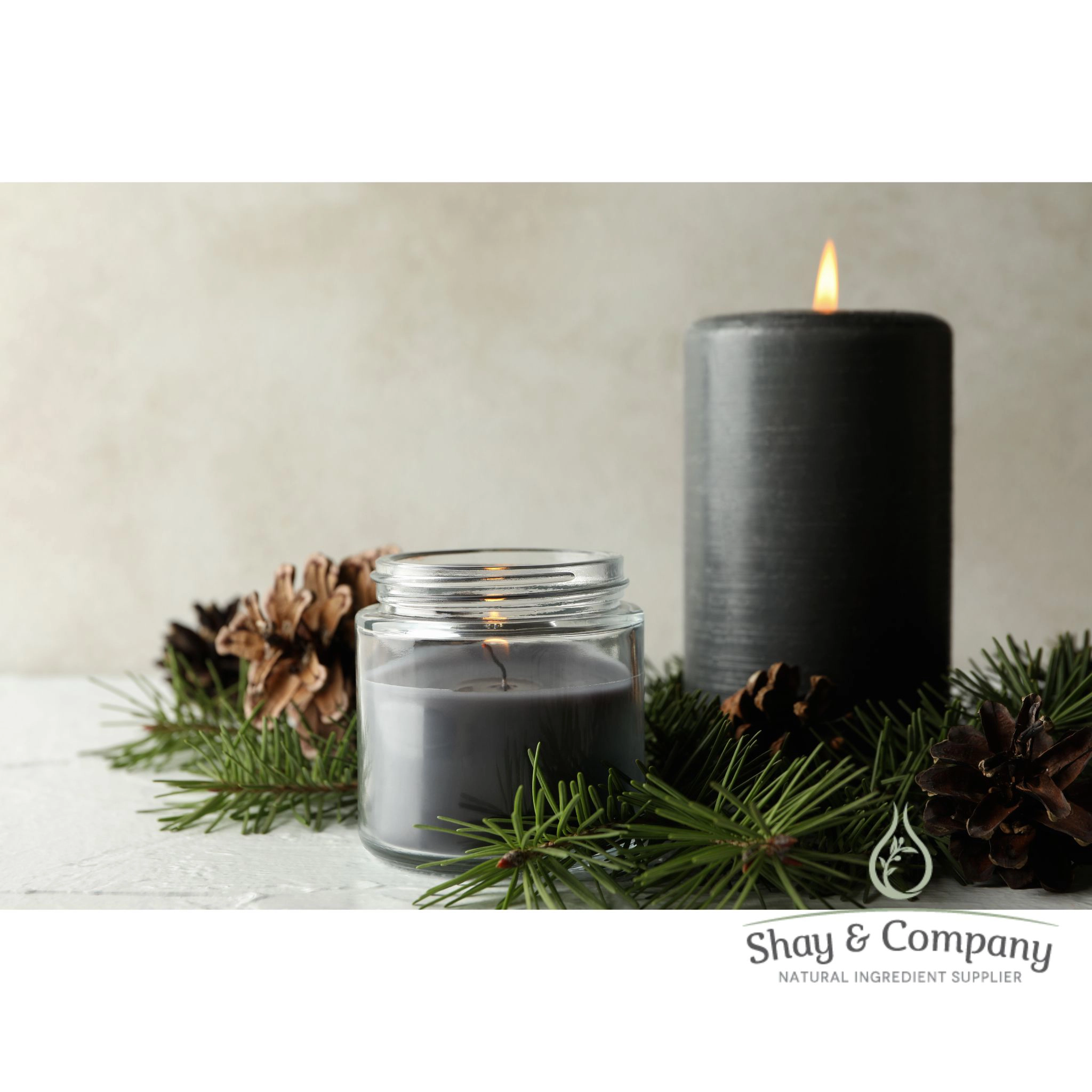 bayberry and pine fragrance for soap and candles