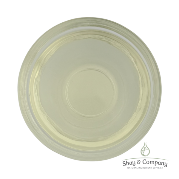 BiEau Actif Tri-Mushroom Extract