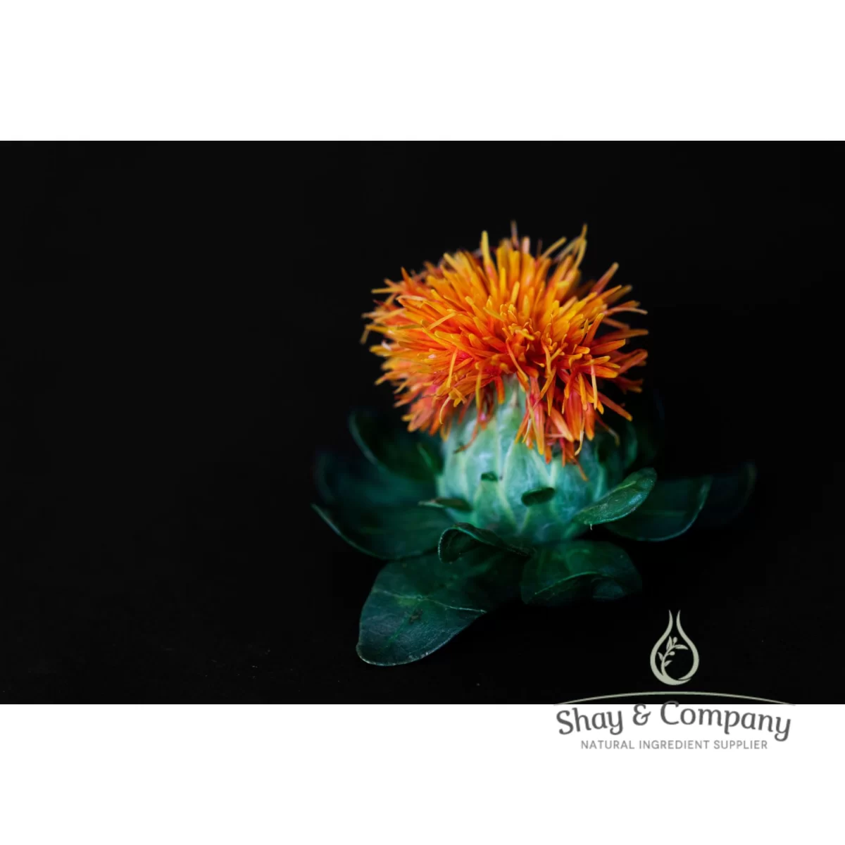 organic safflower oil