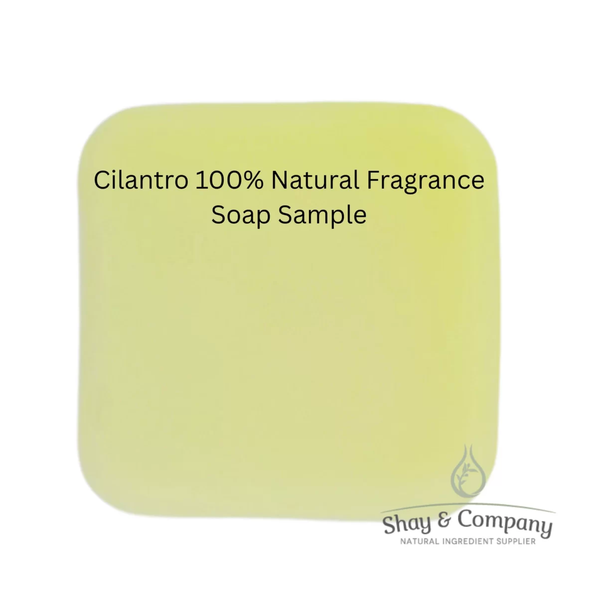 Cilantro 100% Natural Fragrance Soap Sample