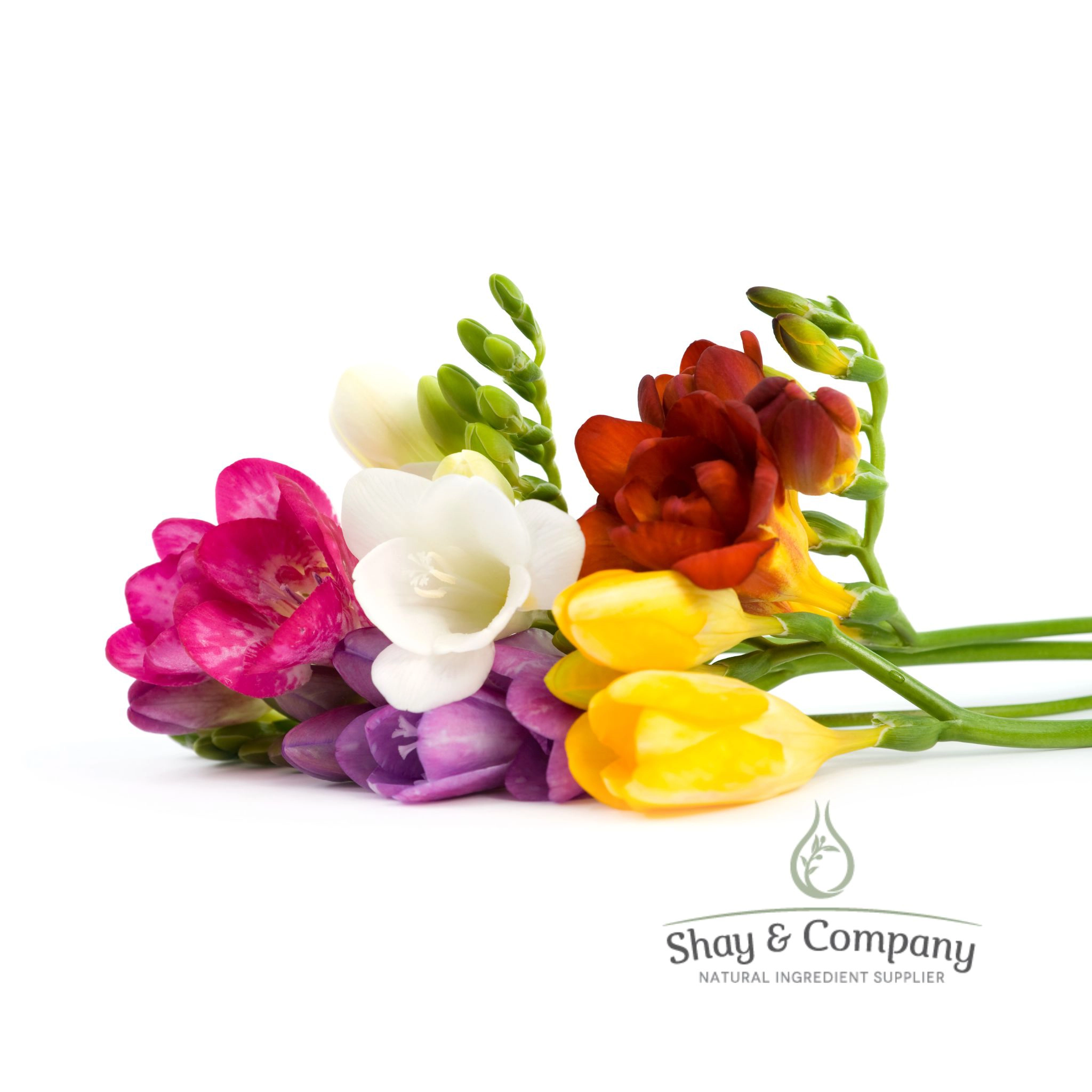 freesia all natural fragrance